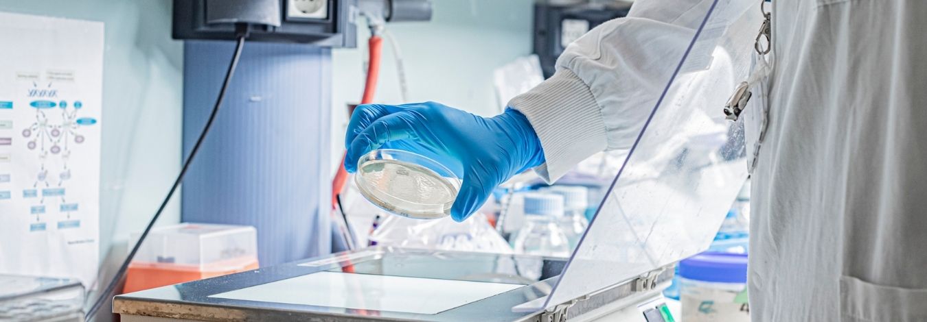 Partner per la ricerca Ricercatore IEO