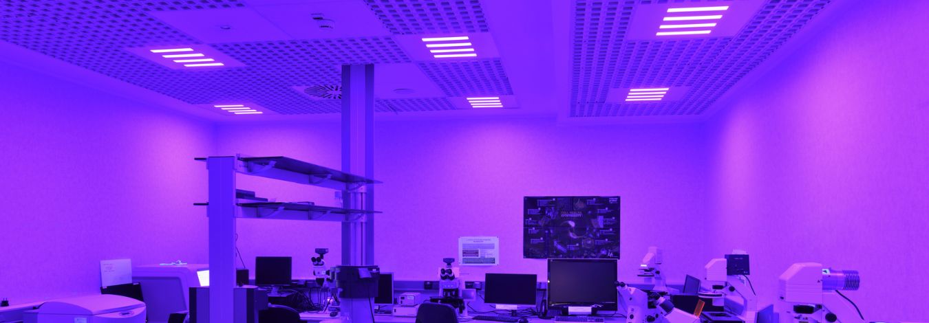 LAMPADE ARTEMIDE