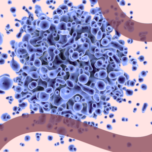 cellula