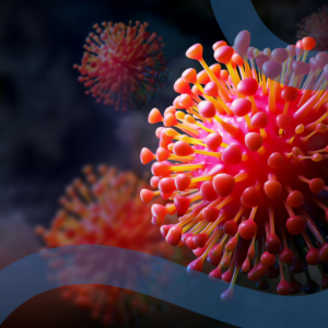 papilloma virus