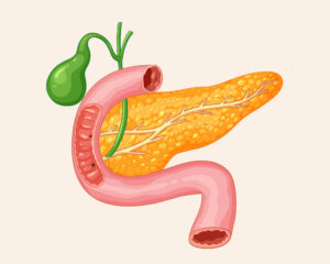 Giornata Mondiale tumore al pancreas con la Fondazione IEO-MONZINO