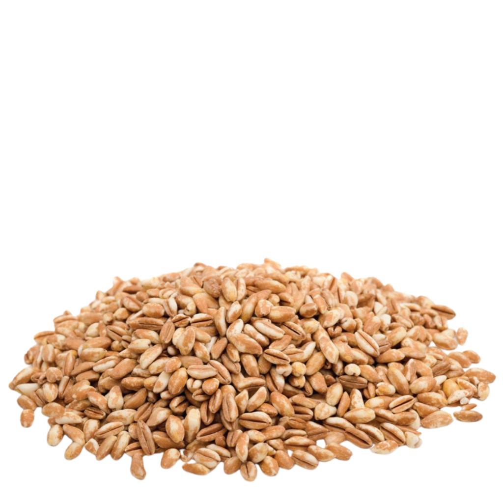Immagine farro