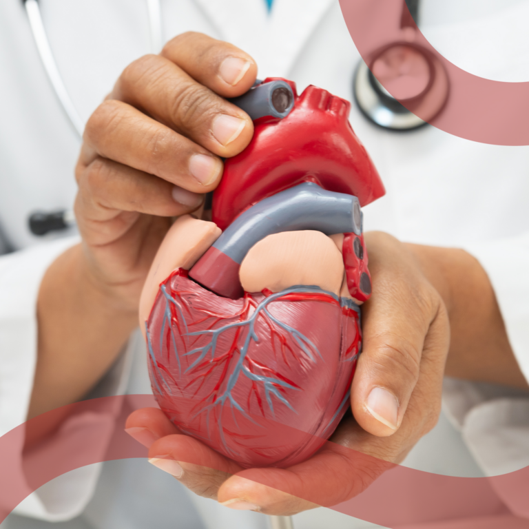 Immagine dottore che tiene in mano un modellino di cuore realistico
