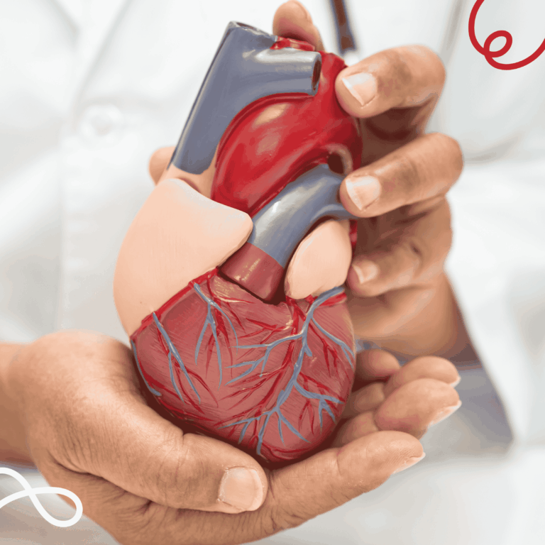 Immagine dottore che tiene in mano un modellino di cuore realistico